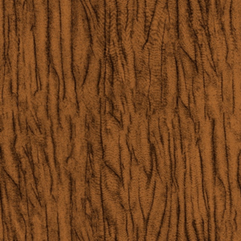 TRANSPARÊNCIA SILKY E. BAOBÁ