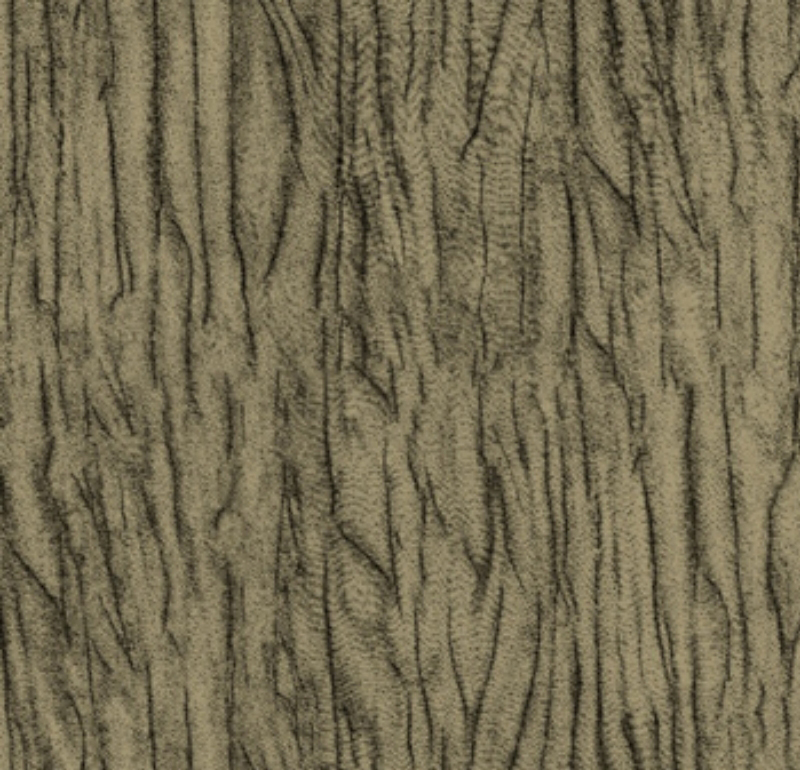 TRANSPARÊNCIA SILKY E. BAOBÁ